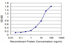 RPS29 / Ribosomal Protein S29 Antibody - Detection limit for recombinant GST tagged RPS29 is approximately 0.3 ng/ml as a capture antibody.