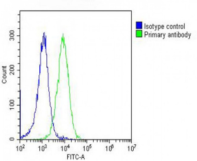 RPS4X Antibody - Overlay histogram showing Hela cells stained with RPS4X Antibody (C-Term) (green line). The cells were fixed with 2% paraformaldehyde (10 min) and then permeabilized with 90% methanol for 10 min. The cells were then icubated in 2% bovine serum albumin to block non-specific protein-protein interactions followed by the antibody (RPS4X Antibody (C-Term), 1:25 dilution) for 60 min at 37°C. The secondary antibody used was Goat-Anti-Rabbit IgG, DyLight® 488 Conjugated Highly Cross-Adsorbed at 1/200 dilution for 40 min at 37°C. Isotype control antibody (blue line) was rabbit IgG (1µg/1x10^6 cells) used under the same conditions. Acquisition of >10, 000 events was performed.