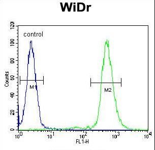 RPS6 / Ribosomal Protein S6 Antibody - RPS6 Antibody (Ser240/244) flow cytometry of WiDr cells (right histogram) compared to a negative control cell (left histogram). FITC-conjugated goat-anti-rabbit secondary antibodies were used for the analysis.