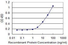 RPS6KA1 / RSK1 Antibody - Detection limit for recombinant GST tagged RPS6KA1 is 1 ng/ml as a capture antibody.