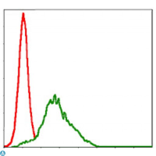RPS6KA3 / RSK2 Antibody - Flow cytometric (FCM) analysis of HepG2 cells using Rsk-2 Monoclonal Antibody (green) and negative control (red).