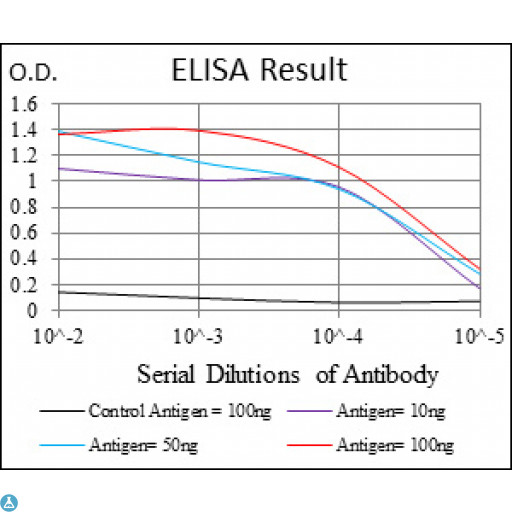 RPS6KA3 / RSK2 Antibody - ELISA analysis of Rsk-2 antibody.