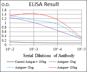 RPS6KB1 / P70S6K / S6K Antibody - Red: Control Antigen (100ng); Purple: Antigen (10ng); Green: Antigen (50ng); Blue: Antigen (100ng);