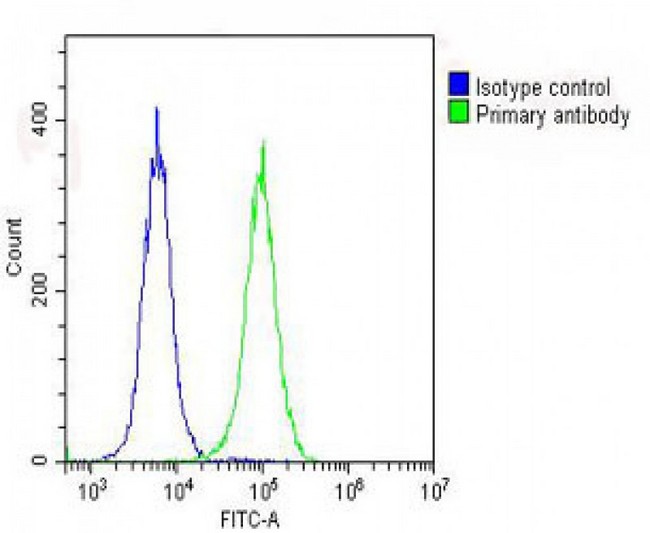 RPS7 / Ribosomal Protein S7 Antibody - Overlay histogram showing Hela cells stained with RPS7 Antibody (C-Term) (green line). The cells were fixed with 2% paraformaldehyde (10 min) and then permeabilized with 90% methanol for 10 min. The cells were then icubated in 2% bovine serum albumin to block non-specific protein-protein interactions followed by the antibody (RPS7 Antibody (C-Term), 1:25 dilution) for 60 min at 37°C. The secondary antibody used was Goat-Anti-Rabbit IgG, DyLight® 488 Conjugated Highly Cross-Adsorbed at 1/200 dilution for 40 min at 37°C. Isotype control antibody (blue line) was rabbit IgG (1µg/1x10^6 cells) used under the same conditions. Acquisition of >10, 000 events was performed.