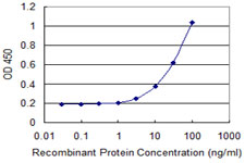 RPS9 /  Ribosomal Protein S9 Antibody - Detection limit for recombinant GST tagged RPS9 is 1 ng/ml as a capture antibody.