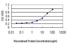 RRAS Antibody - Detection limit for recombinant GST tagged RRAS is approximately 0.3 ng/ml as a capture antibody.