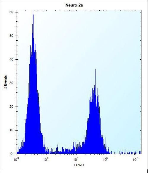 RRP36 Antibody - CF153 Antibody flow cytometry of Neuro-2a cells (right histogram) compared to a negative control cell (left histogram). FITC-conjugated donkey-anti-rabbit secondary antibodies were used for the analysis.