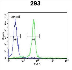 RRS1 Antibody - RRS1 Antibody flow cytometry of 293 cells (right histogram) compared to a negative control cell (left histogram). FITC-conjugated goat-anti-rabbit secondary antibodies were used for the analysis.