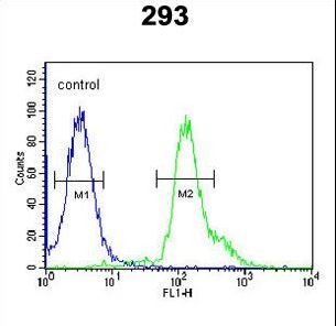 RSPO2 Antibody - RSPO2 Antibody flow cytometry of 293 cells (right histogram) compared to a negative control cell (left histogram). FITC-conjugated goat-anti-rabbit secondary antibodies were used for the analysis.