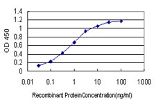 RSU1 Antibody - Detection limit for recombinant GST tagged RSU1 is approximately 0.03 ng/ml as a capture antibody.