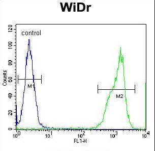RTN4IP1 / NIMP Antibody - RT4I1 Antibody flow cytometry of WiDr cells (right histogram) compared to a negative control cell (left histogram). FITC-conjugated goat-anti-rabbit secondary antibodies were used for the analysis.