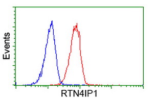 RTN4IP1 / NIMP Antibody - Flow cytometry of HeLa cells, using anti-RTN4IP1 antibody (Red), compared to a nonspecific negative control antibody (Blue).