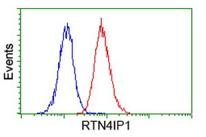 RTN4IP1 / NIMP Antibody - Flow cytometry of Jurkat cells, using anti-RTN4IP1 antibody (Red), compared to a nonspecific negative control antibody (Blue).
