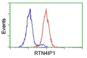 RTN4IP1 / NIMP Antibody - Flow cytometry of HeLa cells, using anti-RTN4IP1 antibody (Red), compared to a nonspecific negative control antibody (Blue).