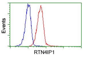 RTN4IP1 / NIMP Antibody - Flow cytometry of Jurkat cells, using anti-RTN4IP1 antibody (Red), compared to a nonspecific negative control antibody (Blue).
