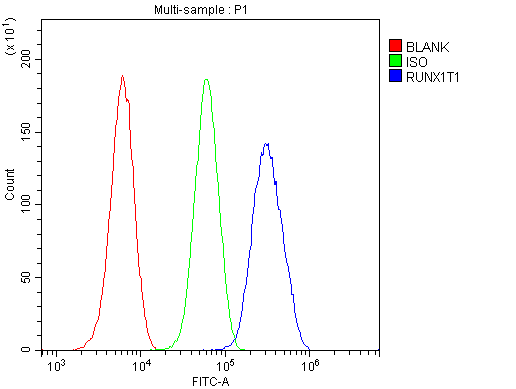RUNX1T1 / ETO Antibody - Flow Cytometry analysis of U20S cells using anti-RUNX1T1 antibody. Overlay histogram showing U20S cells stained with anti-RUNX1T1 antibody (Blue line). The cells were blocked with 10% normal goat serum. And then incubated with rabbit anti-RUNX1T1 Antibody (1µg/10E6 cells) for 30 min at 20°C. DyLight®488 conjugated goat anti-rabbit IgG (5-10µg/10E6 cells) was used as secondary antibody for 30 minutes at 20°C. Isotype control antibody (Green line) was rabbit IgG (1µg/10E6 cells) used under the same conditions. Unlabelled sample (Red line) was also used as a control.