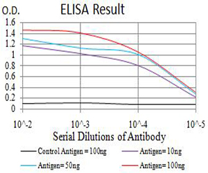 RUNX3 Antibody - Black line: Control Antigen (100 ng);Purple line: Antigen (10ng); Blue line: Antigen (50 ng); Red line:Antigen (100 ng)