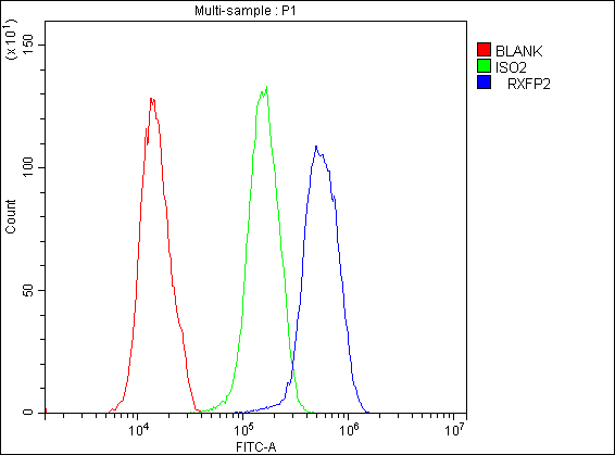 RXFP2 / LGR8 Antibody - Flow Cytometry analysis of U251 cells using anti-GPCR LGR8 antibody. Overlay histogram showing U251 cells stained with anti-GPCR LGR8 antibody (Blue line). The cells were blocked with 10% normal goat serum. And then incubated with rabbit anti-GPCR LGR8 Antibody (1µg/10E6 cells) for 30 min at 20°C. DyLight®488 conjugated goat anti-rabbit IgG (5-10µg/10E6 cells) was used as secondary antibody for 30 minutes at 20°C. Isotype control antibody (Green line) was rabbit IgG (1µg/10E6 cells) used under the same conditions. Unlabelled sample (Red line) was also used as a control.