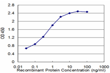 RXRG Antibody - Detection limit for recombinant GST tagged RXRG is approximately 0.1 ng/ml as a capture antibody.