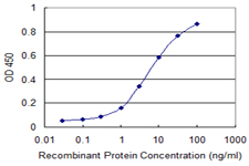RXTA / RXR-Alpha Antibody - Detection limit for recombinant GST tagged RXRA is 0.1 ng/ml as a capture antibody.