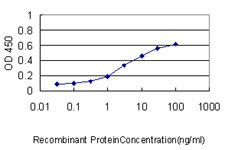 S100A1 / S100-A1 Antibody - Detection limit for recombinant GST tagged S100A1 is approximately 0.3 ng/ml as a capture antibody.