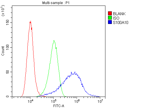 S100A10 Antibody - Flow Cytometry analysis of A431 cells using anti-S100A10 antibody. Overlay histogram showing A431 cells stained with anti-S100A10 antibody (Blue line). The cells were blocked with 10% normal goat serum. And then incubated with rabbit anti-S100A10 Antibody (1µg/10E6 cells) for 30 min at 20°C. DyLight®488 conjugated goat anti-rabbit IgG (5-10µg/10E6 cells) was used as secondary antibody for 30 minutes at 20°C. Isotype control antibody (Green line) was rabbit IgG (1µg/10E6 cells) used under the same conditions. Unlabelled sample (Red line) was also used as a control.