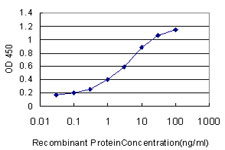 S100A13 Antibody - Detection limit for recombinant GST tagged S100A13 is approximately 0.1 ng/ml as a capture antibody.