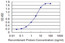 S100A2 Antibody - Detection limit for recombinant GST tagged S100A2 is 0.03 ng/ml as a capture antibody.