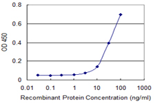 S100A5 Antibody - Detection limit for recombinant GST tagged S100A5 is 3 ng/ml as a capture antibody.