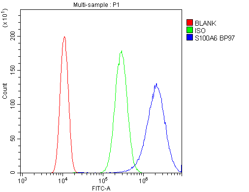 S100A6 / Calcyclin Antibody - Flow Cytometry analysis of SiHa cells using anti-S100A6 antibody. Overlay histogram showing SiHa cells stained with anti-S100A6 antibody (Blue line). The cells were blocked with 10% normal goat serum. And then incubated with rabbit anti-S100A6 Antibody (1µg/10E6 cells) for 30 min at 20°C. DyLight®488 conjugated goat anti-rabbit IgG (5-10µg/10E6 cells) was used as secondary antibody for 30 minutes at 20°C. Isotype control antibody (Green line) was rabbit IgG (1µg/10E6 cells) used under the same conditions. Unlabelled sample (Red line) was also used as a control.
