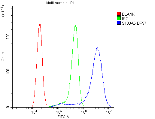 S100A6 / Calcyclin Antibody - Flow Cytometry analysis of A431 cells using anti-S100A6 antibody. Overlay histogram showing A431 cells stained with anti-S100A6 antibody (Blue line). The cells were blocked with 10% normal goat serum. And then incubated with rabbit anti-S100A6 Antibody (1µg/10E6 cells) for 30 min at 20°C. DyLight®488 conjugated goat anti-rabbit IgG (5-10µg/10E6 cells) was used as secondary antibody for 30 minutes at 20°C. Isotype control antibody (Green line) was rabbit IgG (1µg/10E6 cells) used under the same conditions. Unlabelled sample (Red line) was also used as a control.