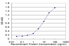S100A8 / MRP8 Antibody - Detection limit for recombinant GST tagged S100A8 is approximately 0.3 ng/ml as a capture antibody.