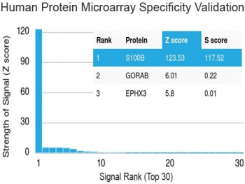 S100B / S100 Beta Antibody - Analysis of HuProt(TM) microarray containing more than 19,000 full-length human proteins using S100 beta antibody (clone S100B/1012). Z- and S- score: The Z-score represents the strength of a signal that an antibody (in combination with a fluorescently-tagged anti-IgG secondary Ab) produces when binding to a particular protein on the HuProt(TM) array. Z-scores are described in units of standard deviations (SD's) above the mean value of all signals generated on that array. If the targets on the HuProt(TM) are arranged in descending order of the Z-score, the S-score is the difference (also in units of SD's) between the Z-scores. The S-score therefore represents the relative target specificity of an Ab to its intended target.
