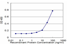 S100P Antibody - Detection limit for recombinant GST tagged S100P is approximately 3 ng/ml as a capture antibody.