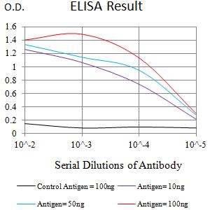S1PR1 / EDG1 / S1P1 Antibody - Black line: Control Antigen (100 ng);Purple line: Antigen (10ng); Blue line: Antigen (50 ng); Red line:Antigen (100 ng)