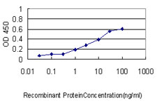 S1PR1 / EDG1 / S1P1 Antibody - Detection limit for recombinant GST tagged EDG1 is approximately 0.1 ng/ml as a capture antibody.