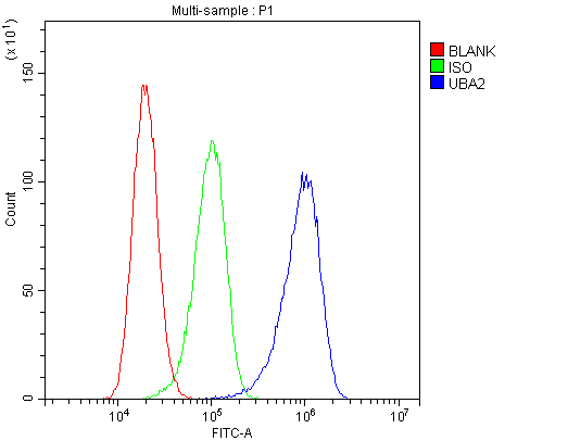 SAE2 / UBA2 Antibody - Flow Cytometry analysis of A431 cells using anti-SAE2/UBA2 antibody. Overlay histogram showing A431 cells stained with anti-SAE2/UBA2 antibody (Blue line). The cells were blocked with 10% normal goat serum. And then incubated with rabbit anti-SAE2/UBA2 Antibody (1µg/10E6 cells) for 30 min at 20°C. DyLight®488 conjugated goat anti-rabbit IgG (5-10µg/10E6 cells) was used as secondary antibody for 30 minutes at 20°C. Isotype control antibody (Green line) was rabbit IgG (1µg/10E6 cells) used under the same conditions. Unlabelled sample (Red line) was also used as a control.