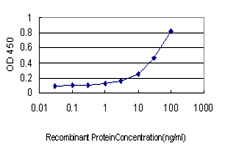 SALL4 Antibody - Detection limit for recombinant GST tagged SALL4 is approximately 1 ng/ml as a capture antibody.