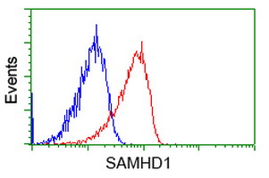 SAMHD1 Antibody - Flow cytometry of Jurkat cells, using anti-SAMHD1 antibody (Red), compared to a nonspecific negative control antibody (Blue).