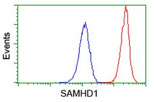 SAMHD1 Antibody - Flow cytometry of Jurkat cells, using anti-SAMHD1 antibody (Red), compared to a nonspecific negative control antibody (Blue).