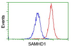 SAMHD1 Antibody - Flow cytometry of Jurkat cells, using anti-SAMHD1 antibody (Red), compared to a nonspecific negative control antibody (Blue).