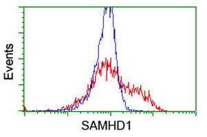 SAMHD1 Antibody - HEK293T cells transfected with either overexpress plasmid (Red) or empty vector control plasmid (Blue) were immunostained by anti-SAMHD1 antibody, and then analyzed by flow cytometry.