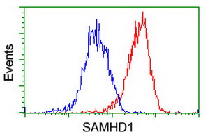 SAMHD1 Antibody - Flow cytometry of HeLa cells, using anti-SAMHD1 antibody (Red), compared to a nonspecific negative control antibody (Blue).