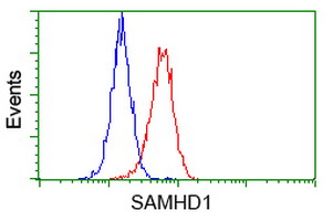 SAMHD1 Antibody - Flow cytometry of HeLa cells, using anti-SAMHD1 antibody, (Red), compared to a nonspecific negative control antibody, (Blue).