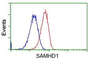 SAMHD1 Antibody - Flow cytometric Analysis of Hela cells, using anti-SAMHD1 antibody, (Red), compared to a nonspecific negative control antibody, (Blue).