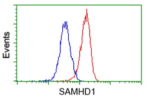 SAMHD1 Antibody - Flow cytometry of HeLa cells, using anti-SAMHD1 antibody (Red), compared to a nonspecific negative control antibody (Blue).