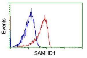 SAMHD1 Antibody - Flow cytometry of Jurkat cells, using anti-SAMHD1 antibody (Red), compared to a nonspecific negative control antibody (Blue).