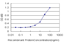 SAP30 Antibody - Detection limit for recombinant GST tagged SAP30 is approximately 1 ng/ml as a capture antibody.