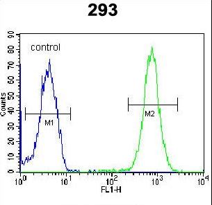 SARA2 / SAR1B Antibody - SAR1B Antibody flow cytometry of 293 cells (right histogram) compared to a negative control cell (left histogram). FITC-conjugated goat-anti-rabbit secondary antibodies were used for the analysis.