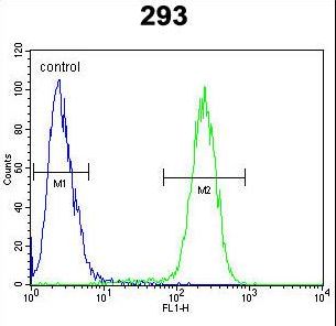 SARAF / TMEM66 Antibody - TMEM66 Antibody flow cytometry of 293 cells (right histogram) compared to a negative control cell (left histogram). FITC-conjugated goat-anti-rabbit secondary antibodies were used for the analysis.